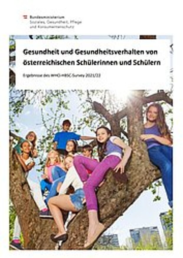 HSBC-Studie